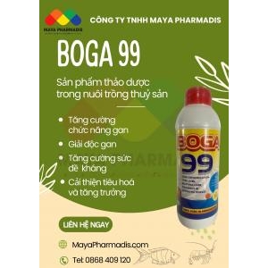 BOGA 99 - Bổ gan, giải độc gan